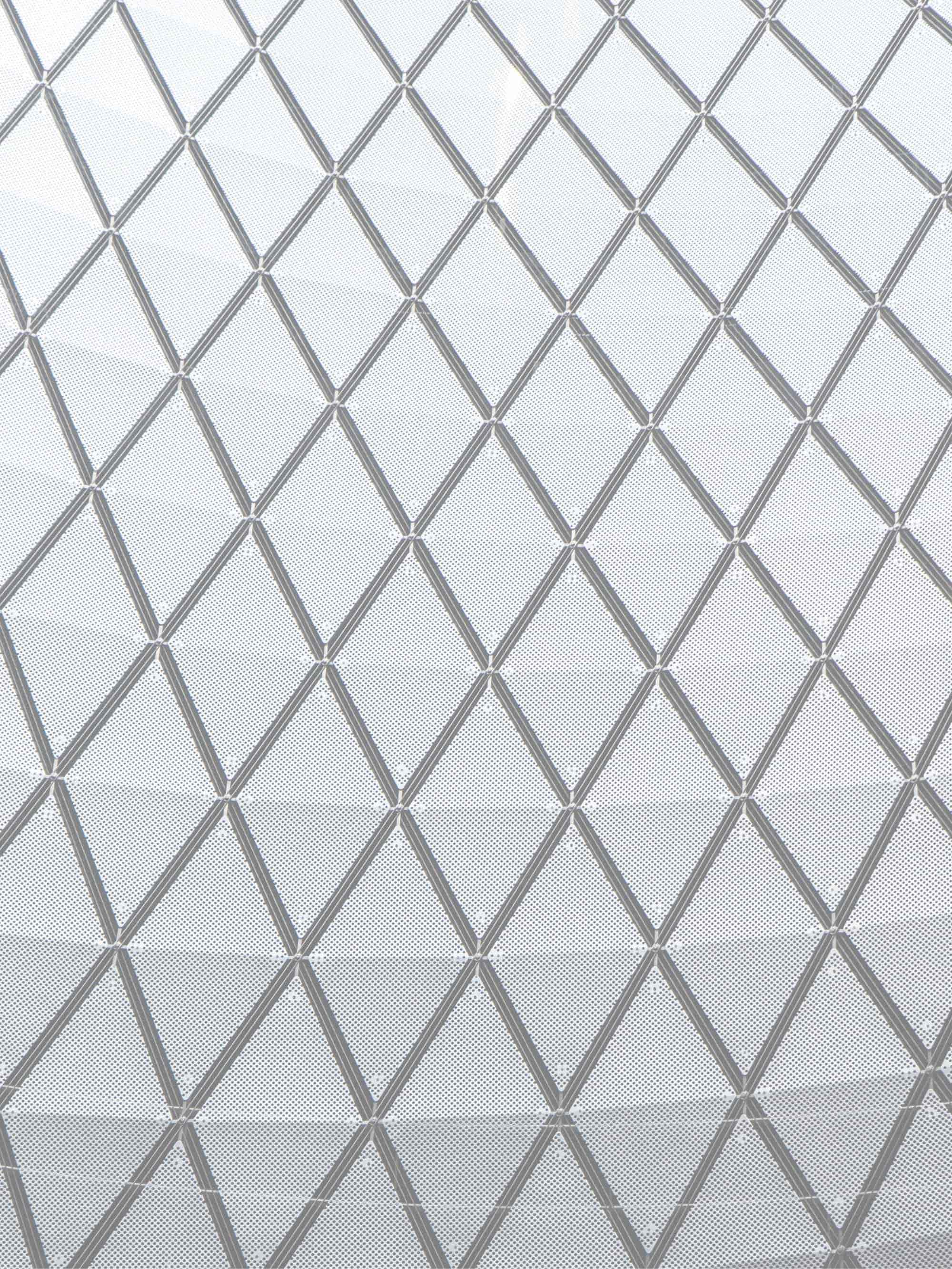 Pellentesque Risus Ridiculus